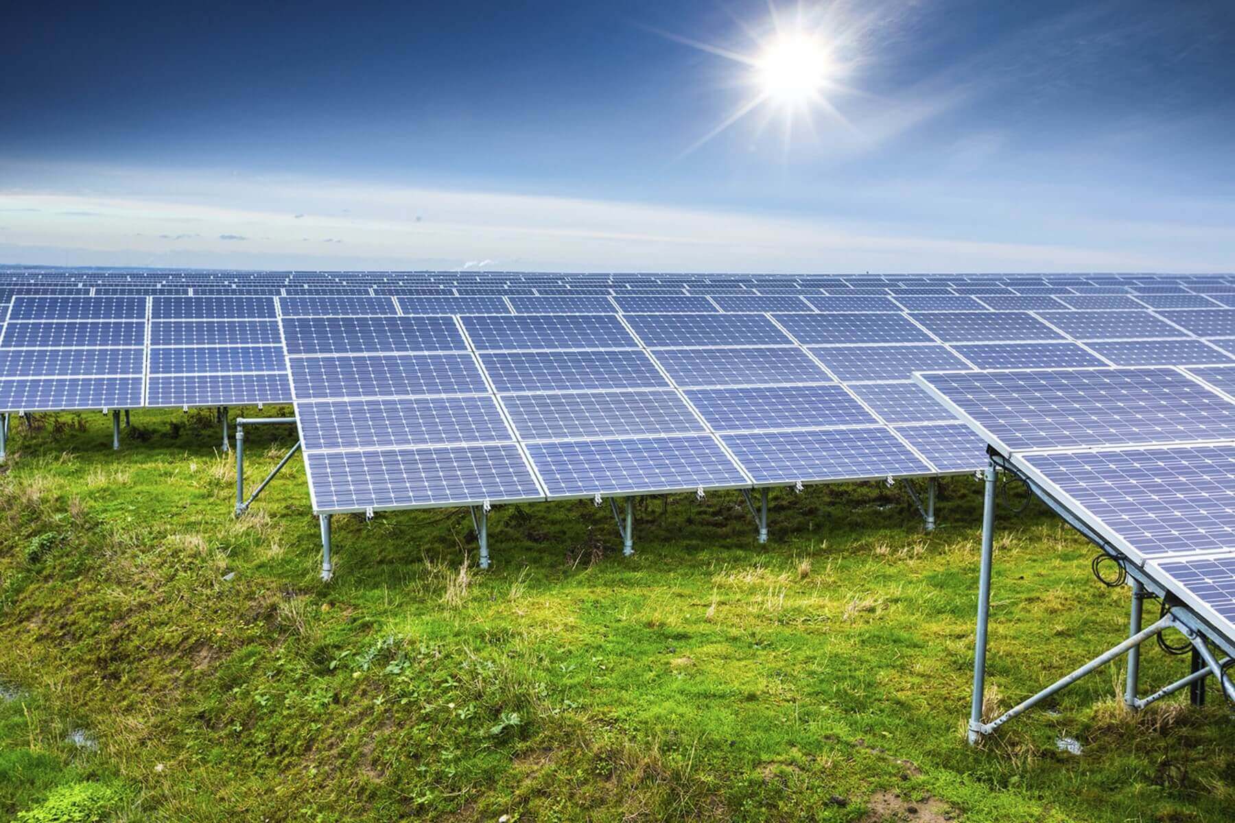 Alberta Solar Farm